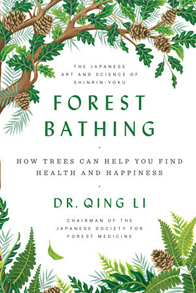Forest Bathing: How Trees Can Help You Find Health and Happiness