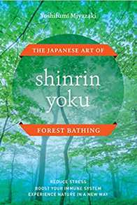 Shinrin Yoku: The Japanese Art of Forest Bathing