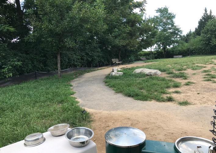 VA Carlyle Dog Park & Tennis Courts [3539] PRA Nature Prescribed