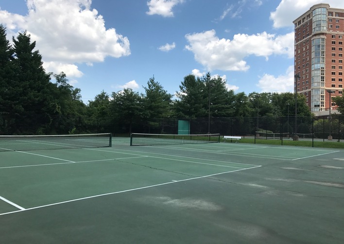 VA Carlyle Dog Park & Tennis Courts [3539] PRA Nature Prescribed