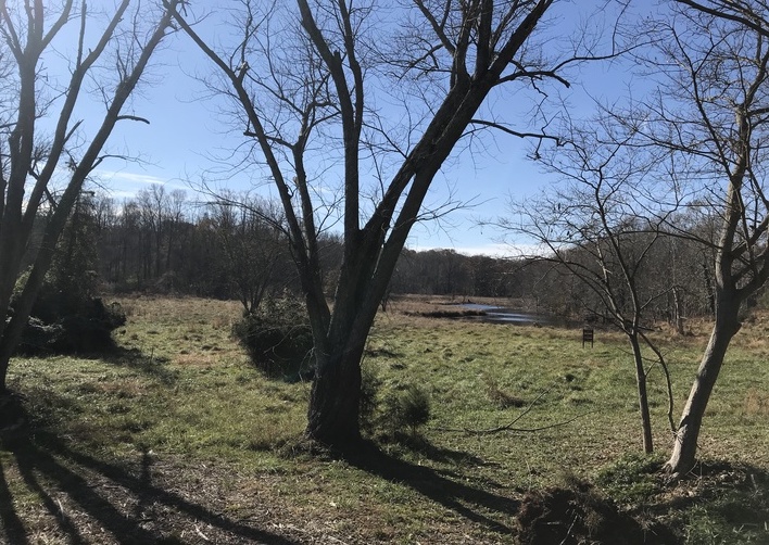 VA Waples Mill Meadow Park [4087] PRA Nature Prescribed