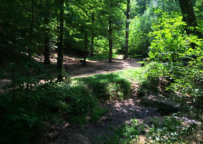 VA - Monticello Park [3482] - PRA- Nature Prescribed