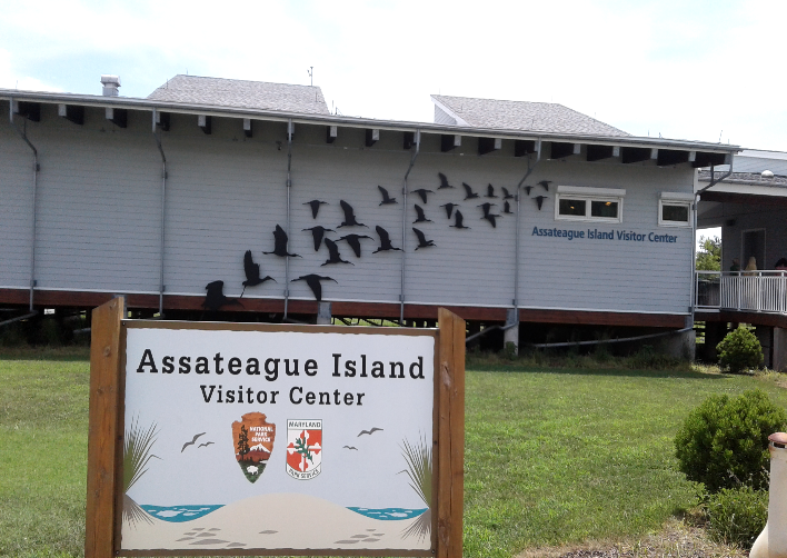 MD Assateague Island National Seashore Visitor Center [3475] PRA
