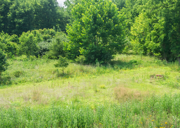 MD Cabin Branch Stream Valley Park Unit 1 [416] PRA Nature Prescribed