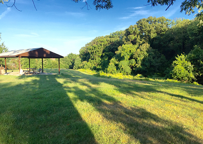 DC Fort Slocum [2948] PRA Nature Prescribed