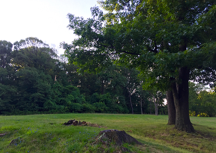 DC Fort Totten Park [2951] PRA Nature Prescribed