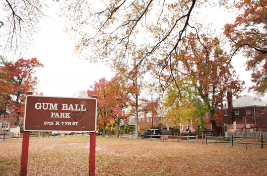 Gum Ball Park – Official Website of Arlington County Virginia Government