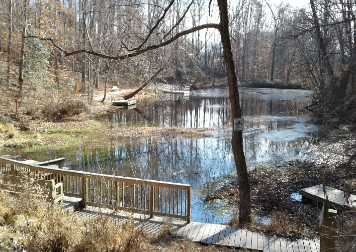 Hidden Pond Nature Center, Springfield VA