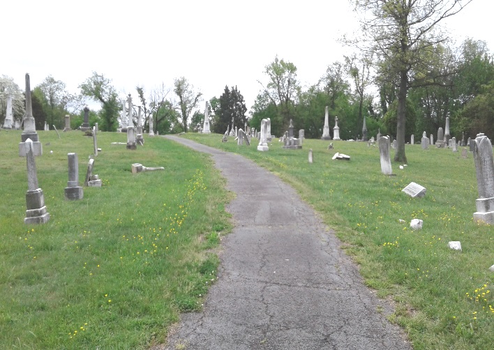 DC Holy Rood Cemetery [3207] PRA Nature Prescribed