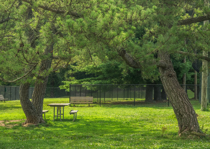 MD Olney Manor Recreational Park [671] PRA Nature Prescribed