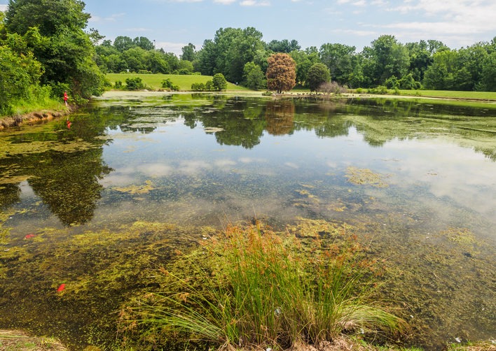 MD Olney Manor Recreational Park [671] PRA Nature Prescribed
