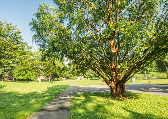 MD Olney Mill Neighborhood Park [672] PRA Nature Prescribed