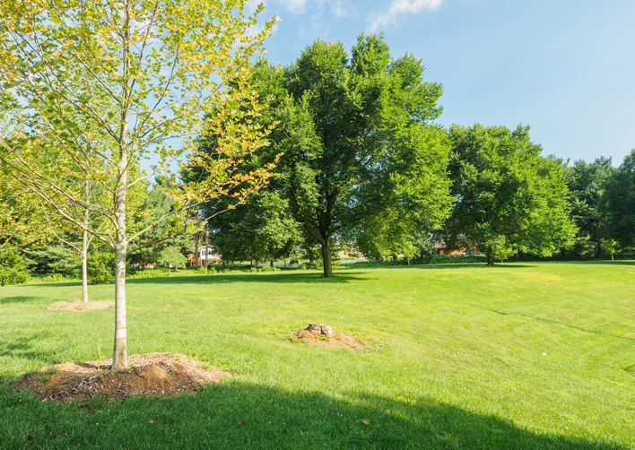 MD Olney Mill Neighborhood Park [672] PRA Nature Prescribed