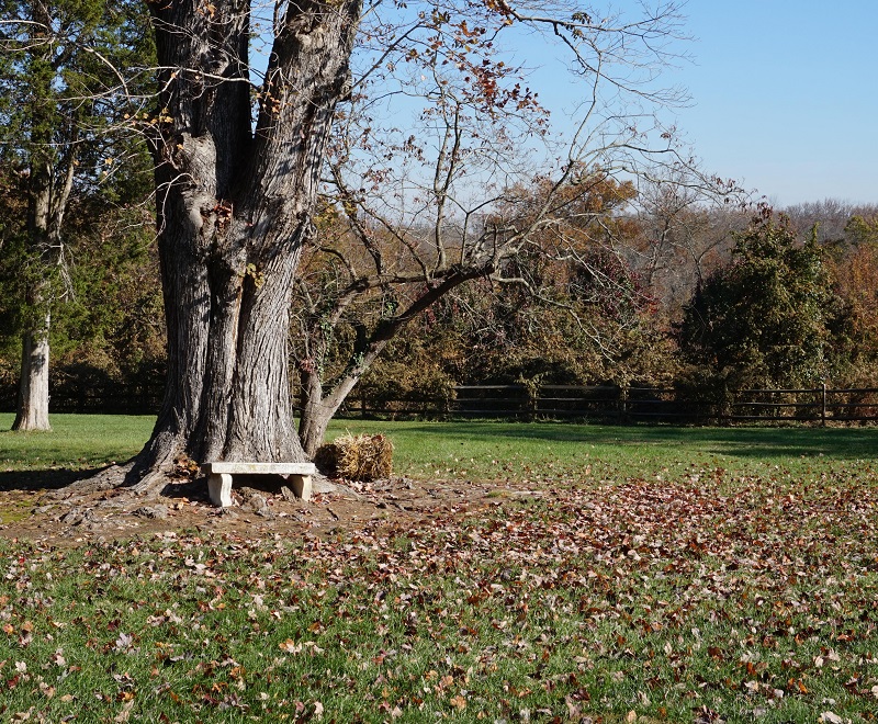MD Snow Hill Manor Historic Site [991] PRA Nature Prescribed