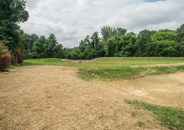 MD Piedmont Crossing Local Park [693] PRA Nature Prescribed