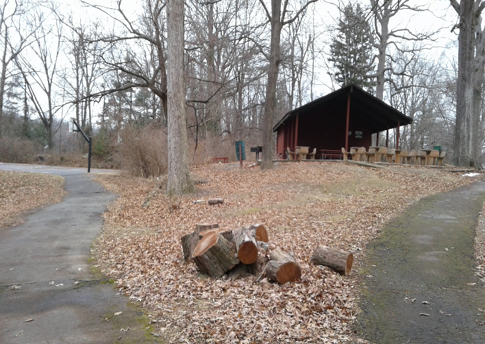 VA Roundtree Park [4747] PRA Nature Prescribed