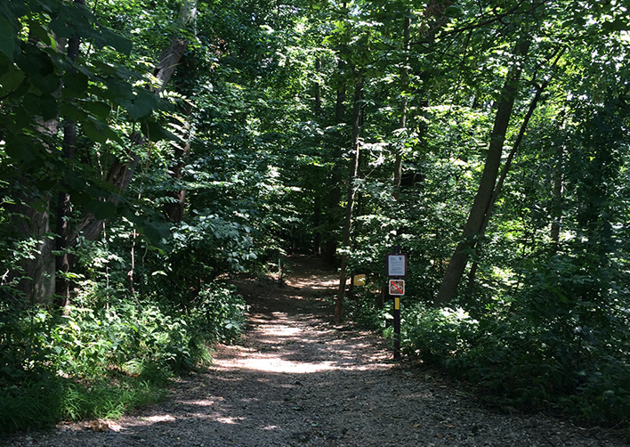 DC Soapstone Valley Park and Trail [3132] PRA Nature Prescribed